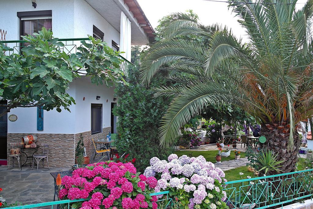 Studios Ifigenia Skala Potamia  Exterior foto