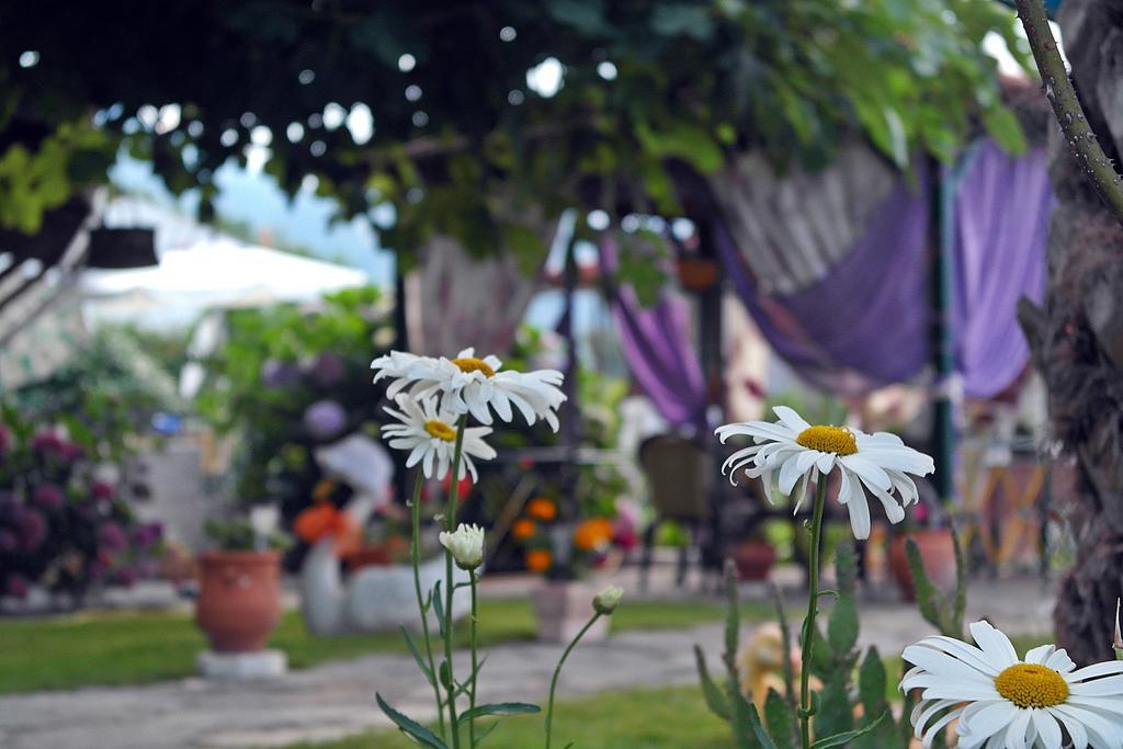 Studios Ifigenia Skala Potamia  Exterior foto